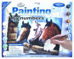 Malování podle čísel - Senior 40x30cm KOŇSKÉ HLAVY